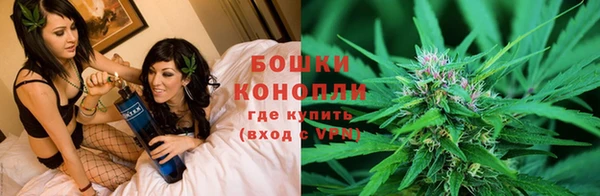spice Иннополис