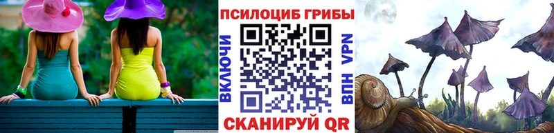 Галлюциногенные грибы мицелий  Купить закладки  Завитинск 